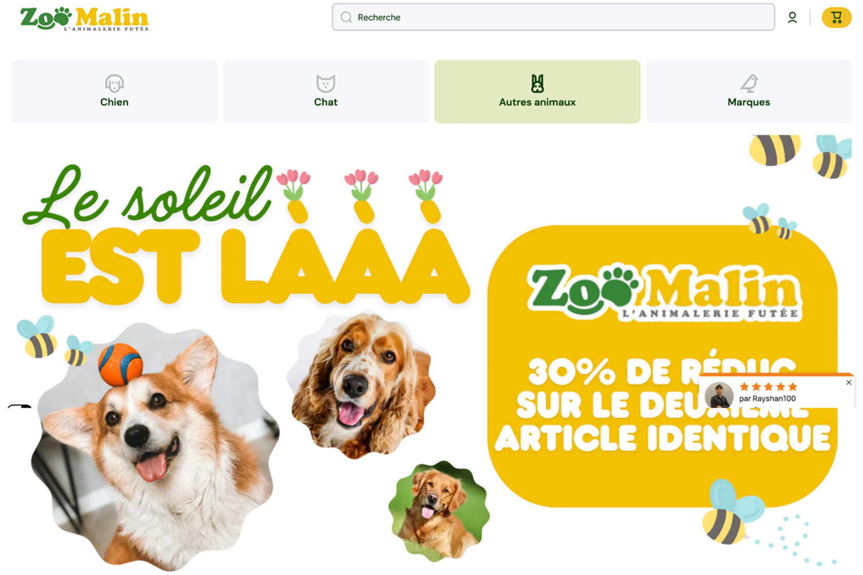 Boutique Zoomalin